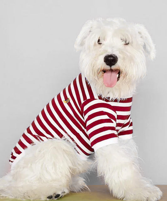 Striped T-shirt-Red