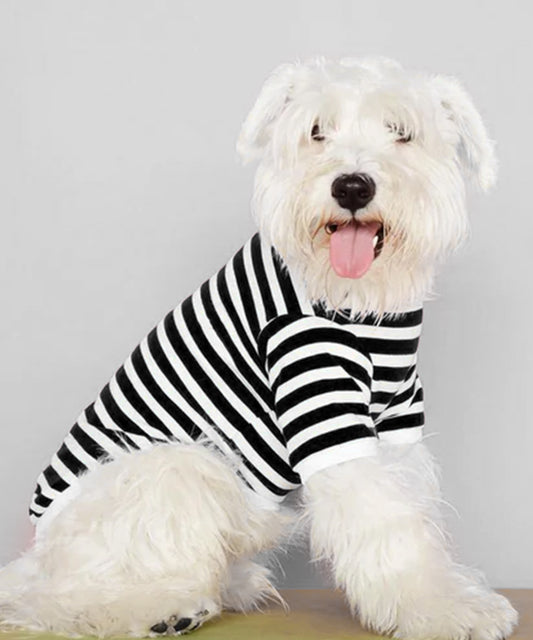 Striped T-Shirt-Black