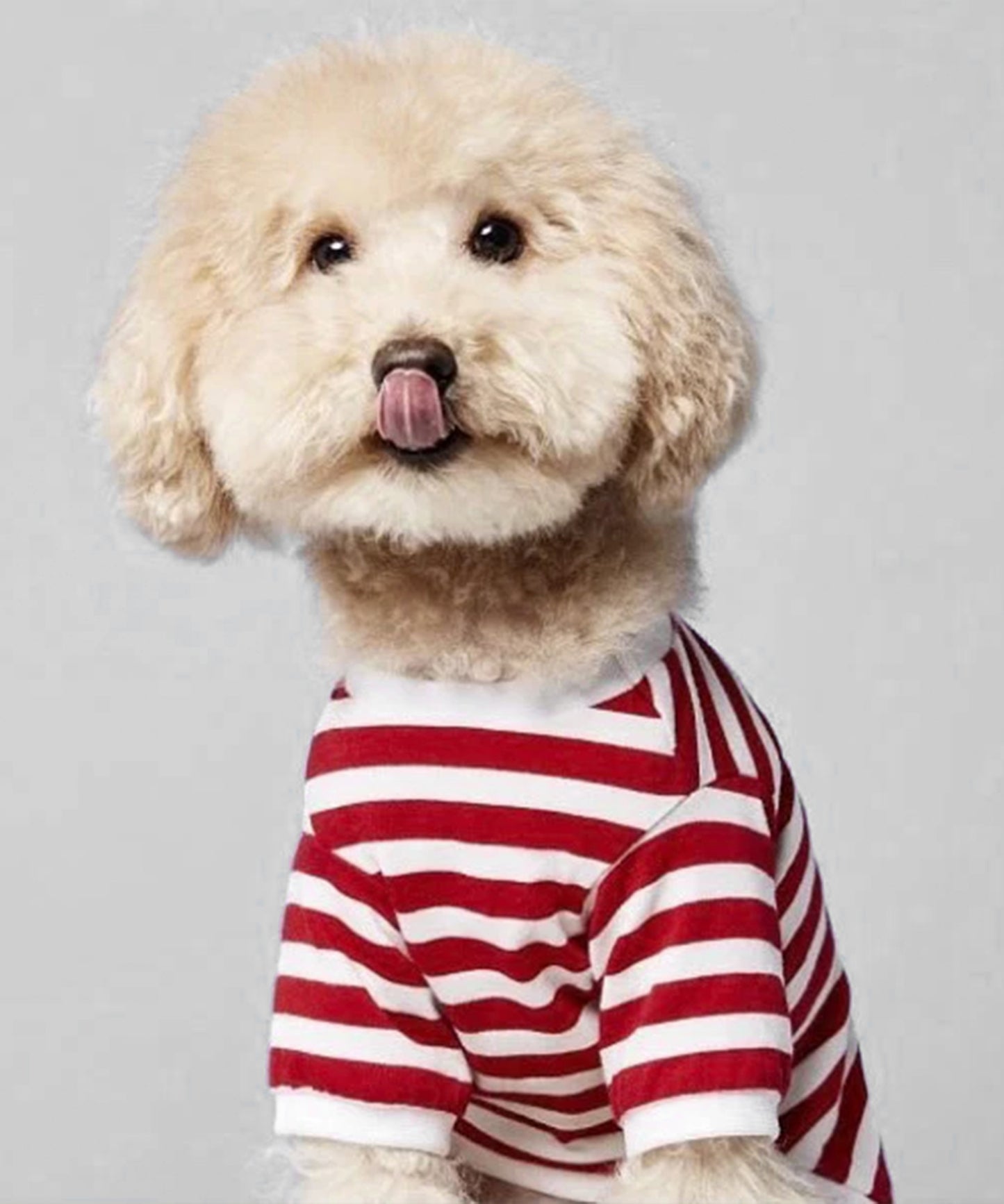 Striped T-shirt-Red