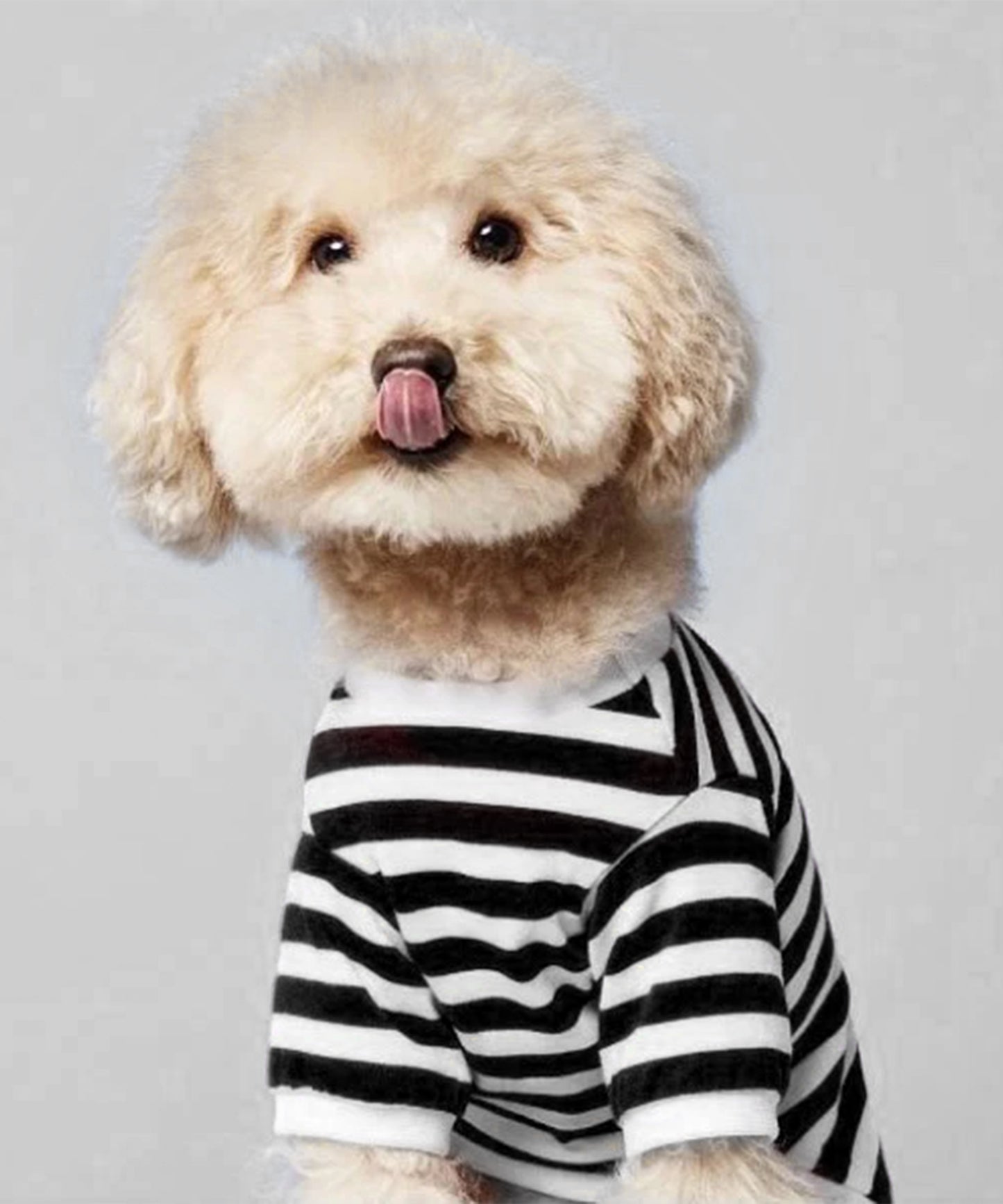 Striped T-Shirt-Black