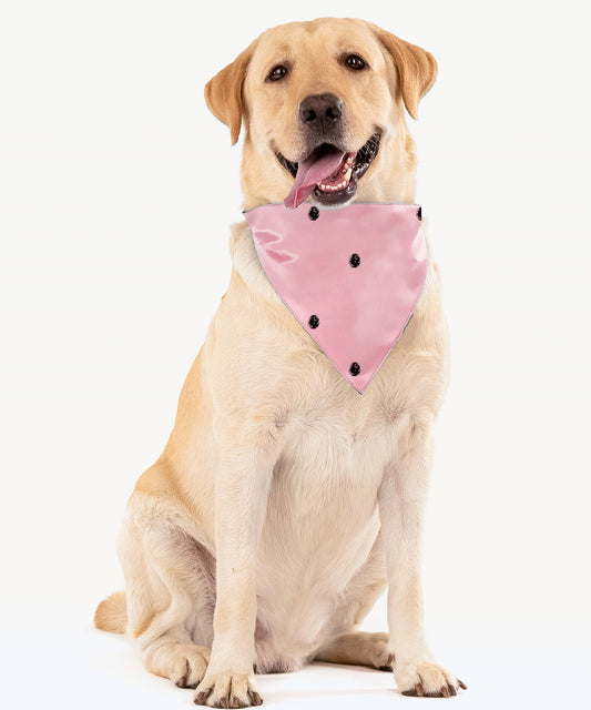 Dog  Bandana Free Style