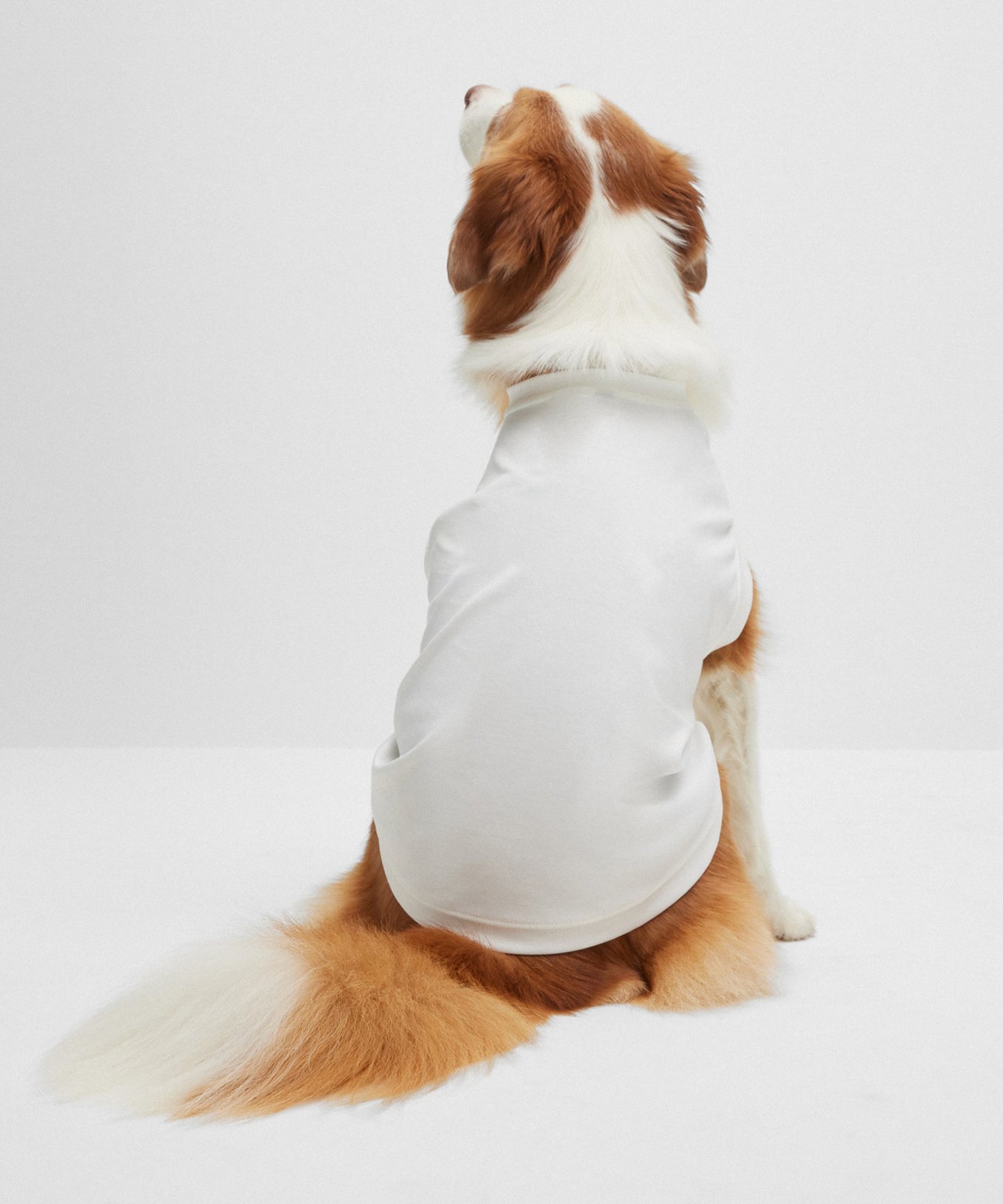 Twinning Men And Dog Sleeveless T-shirt- White