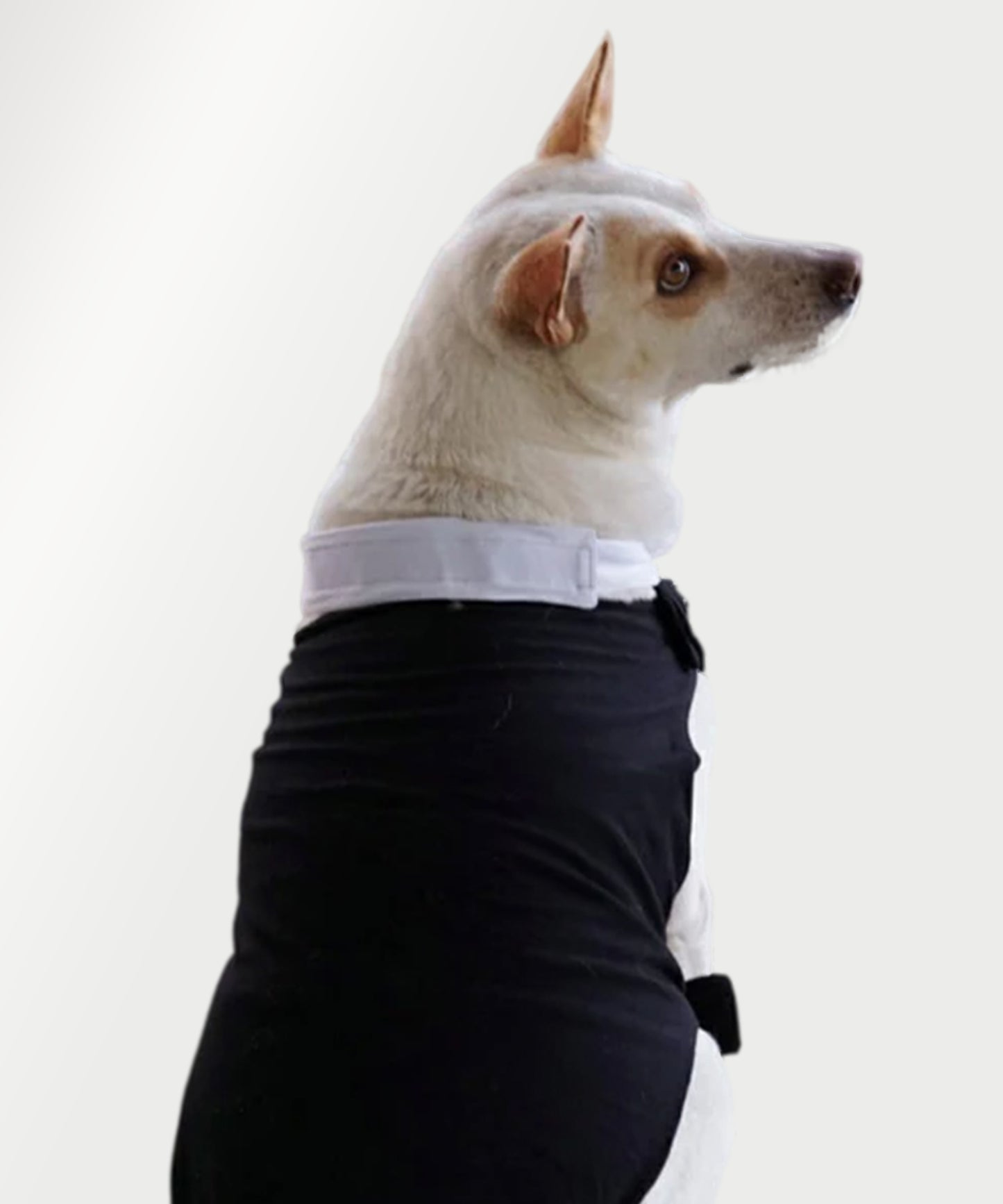Twinning Men and Dog  T-shirt-Black