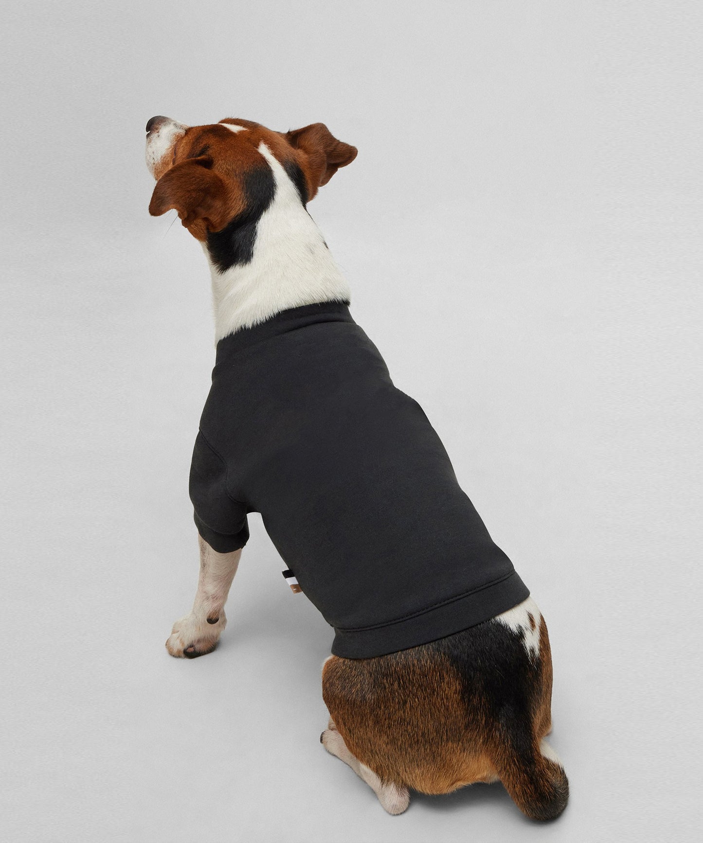 Twinning Men And   Dog T-shirt-Black