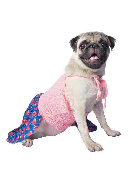 Chinqooper Watermelon themed  Dress