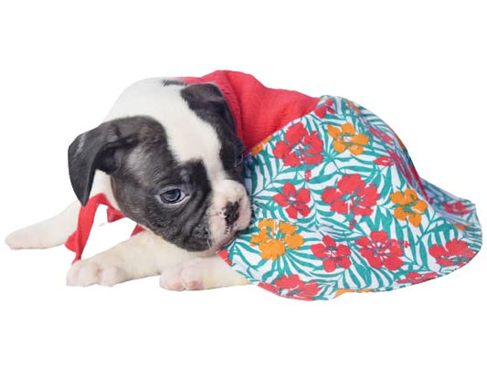 Chinqooper Floral cute red dress
