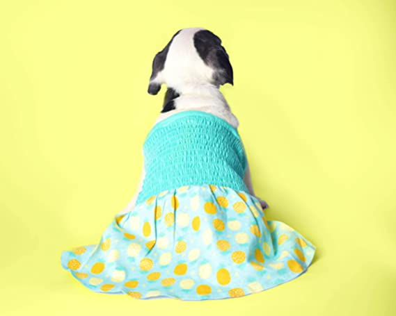 Pineapple Printed Dress