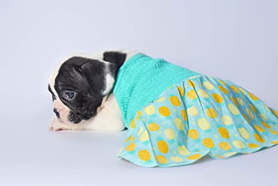 Pineapple Printed Dress