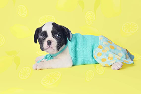 Pineapple Printed Dress