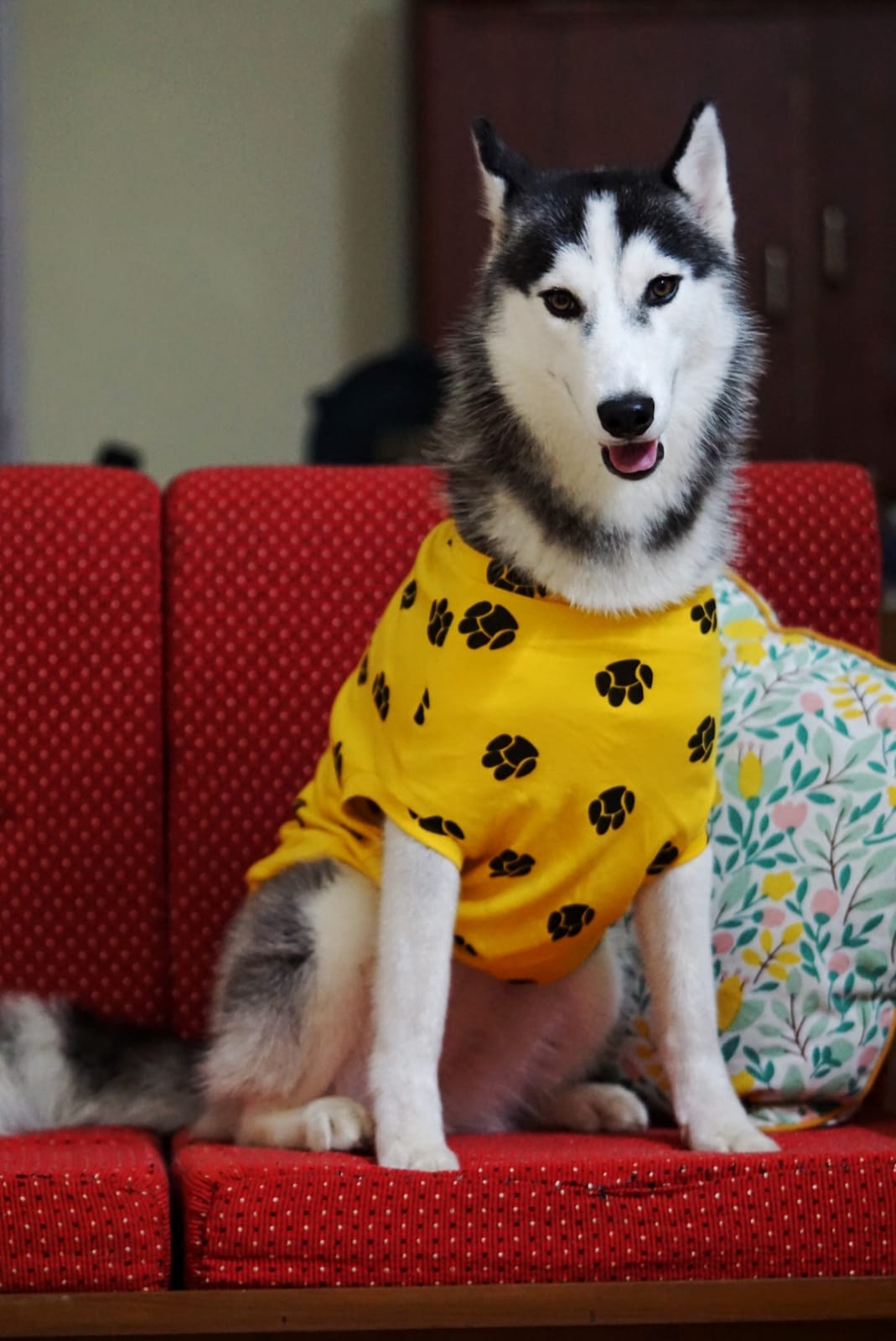 Dog Paw printed casual T-shirt
